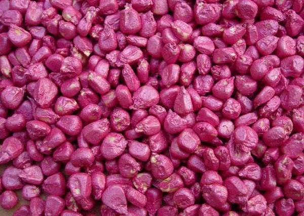 1510637838498323.jpg 種子包衣1.jpg